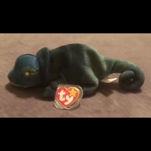 “Rainbow” Misnamed- Actually Iggy Beanie Baby